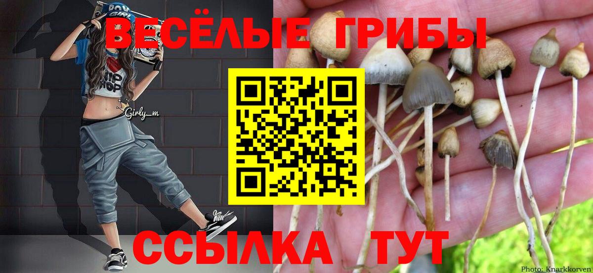 Галлюциногенные грибы ЛСД  Вход с VPN  Черногорск 